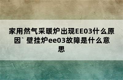 家用然气采暖炉出现EE03什么原因` 壁挂炉ee03故障是什么意思